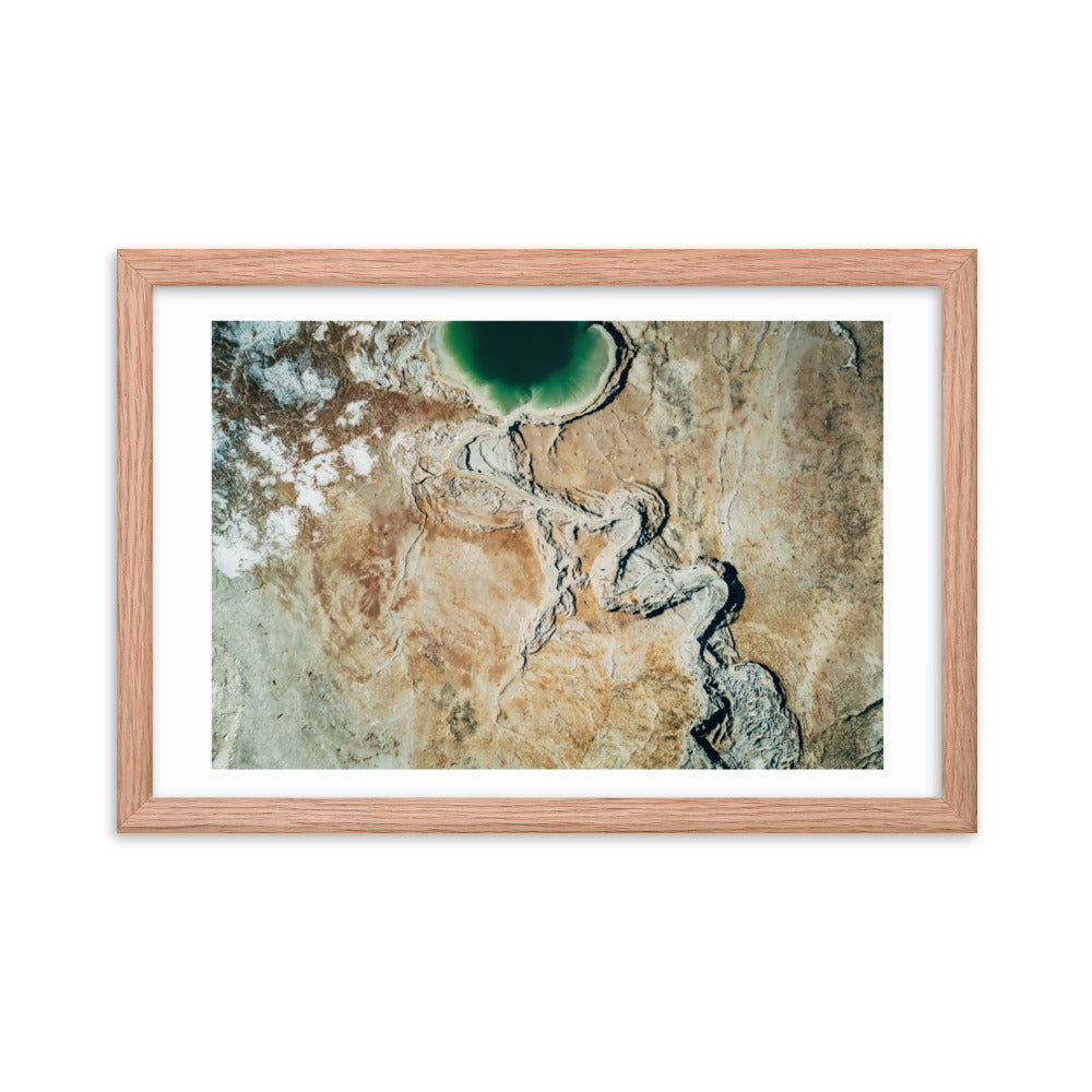 Nature's Mosaic: Israel Framed poster