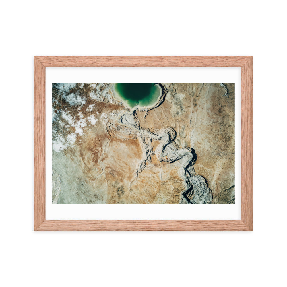 Nature's Mosaic: Israel Framed poster