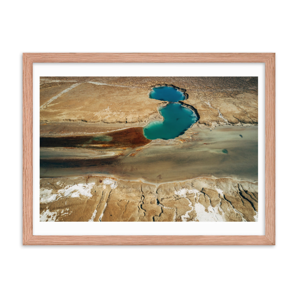 Nature's Abstract Canvas Framed poster