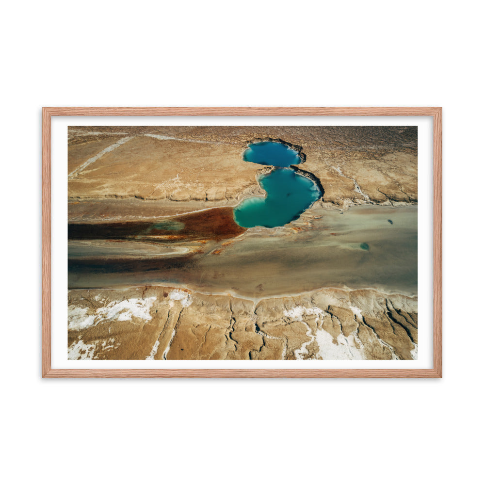 Nature's Abstract Canvas Framed poster